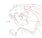 sailor-moon-official-douga-book-32.jpg