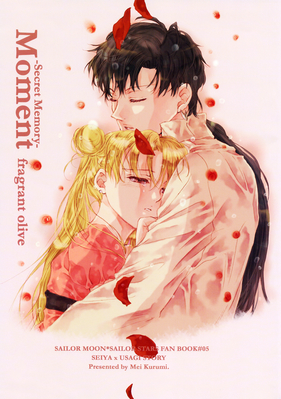 Tsukino Usagi & Seiya Kou
-Secret Memory- Moment
by Fragrant Olive
