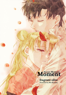 Tsukino Usagi & Seiya Kou
-Secret Memory- Moment
by Fragrant Olive
