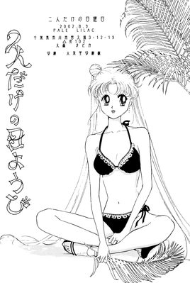 Tsukino Usagi
By Ohmori Madoka
Published: August 2002
