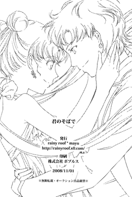 Tsukino Usagi, Seiya Kou
By Mayu
Published: November 2008
