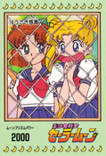 sailor-moon-pp1-16.jpg