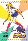 sailor-moon-pp1-37.jpg