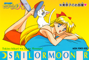 sailor-moon-pp5-47.jpg