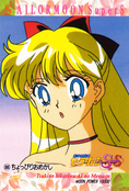 sailormoon-pp14a-17.jpeg